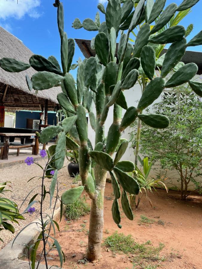 Highland Bungalows Nungwi Buitenkant foto